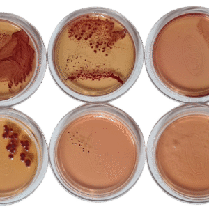 CROMOKIT CUP-12 AGAR