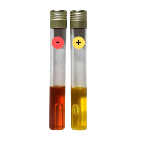 C-ALBICANS M-IDENT Tubo para confirmación definitiva de colonias de Candida albicans según 6 test Bacdive