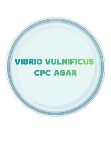 VIBRIO VULNIFICUS CPC AGAR CELOBIOSA-POLIMIXINA-COLISTINA Aislamiento selectivo de Vibrio vulnificus (BAM, FDA)